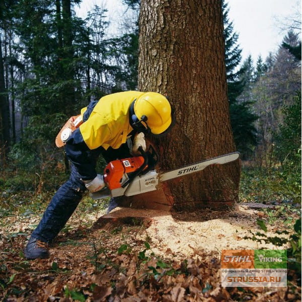 Бензопила Stihl MS 440 шина 50 см 11282000291 - Пилы для лесного ...