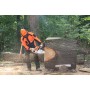 Бензопила stihl ms 461 шина 70 см